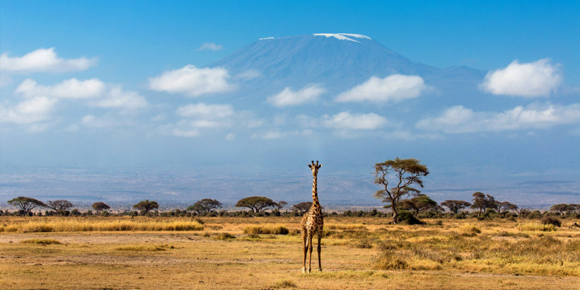 Amboseli-National-Park-Tena-Adventure-Connections-1-1.jpg