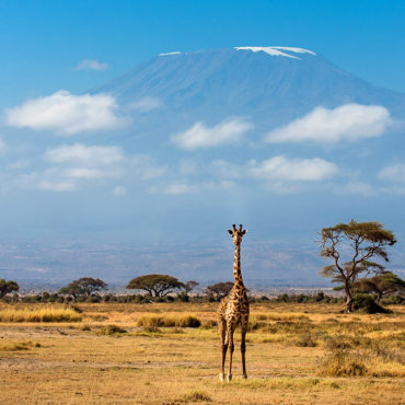 Amboseli