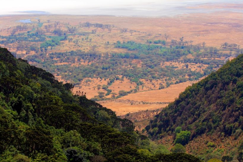 Great-View-in-Ngorongoro-Crater-Tena-Connections-1.jpg