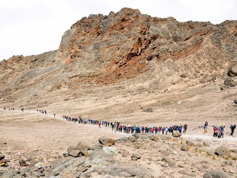 Hikers-in-Mt.-Kilimanjaro-Tena-Connections-1.jpg