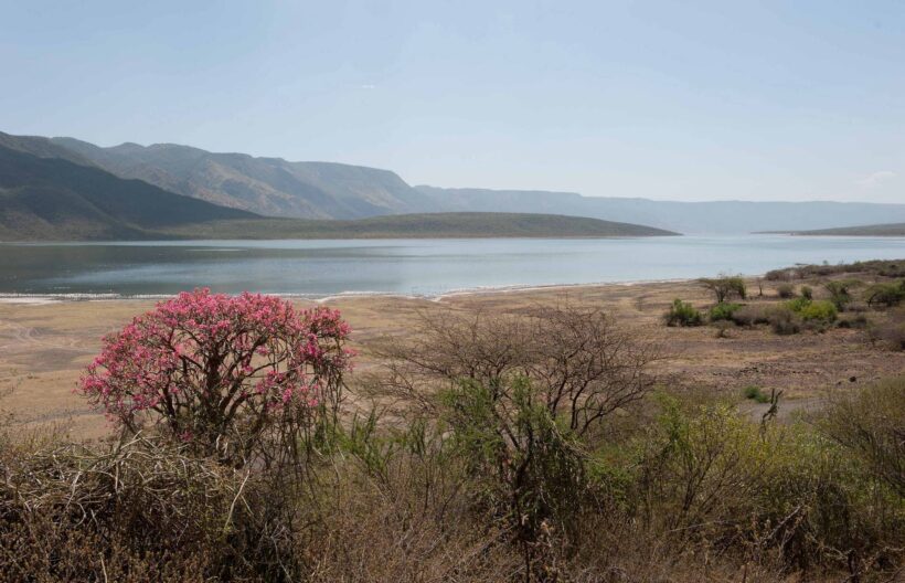 Lake-Bogoria-View-Tena-Connections-1.jpg Lake-Bogoria-View-Tena-Connections-1.jpg