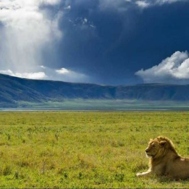 Ngorongoro