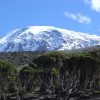 Mt.-Kilimanjaro-4-Tena-Connections-3.jpg