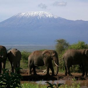 Mt.-Kilimanjaro-Tena-Adventure-Connections-1024x768