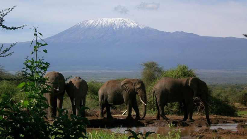 Mt.-Kilimanjaro-Tena-Adventure-Connections-2.jpg