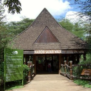 Nairobi-Safari-Walk-Tena-Connections-1-1024x763