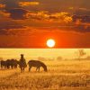 Sunset-in-Serengeti-Tena-Connections.jpg
