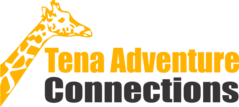 Tena Connections